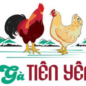 Gà Tiên Yên
